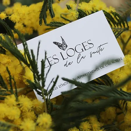 Les Loges De La * Prades (Pyrenees-Orientales)